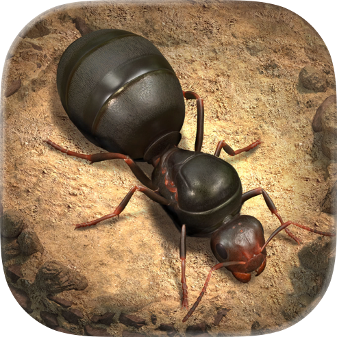 The Ants